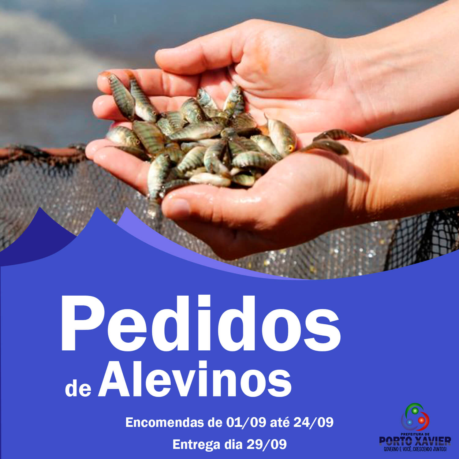 ENCOMENDA DE ALEVINOS